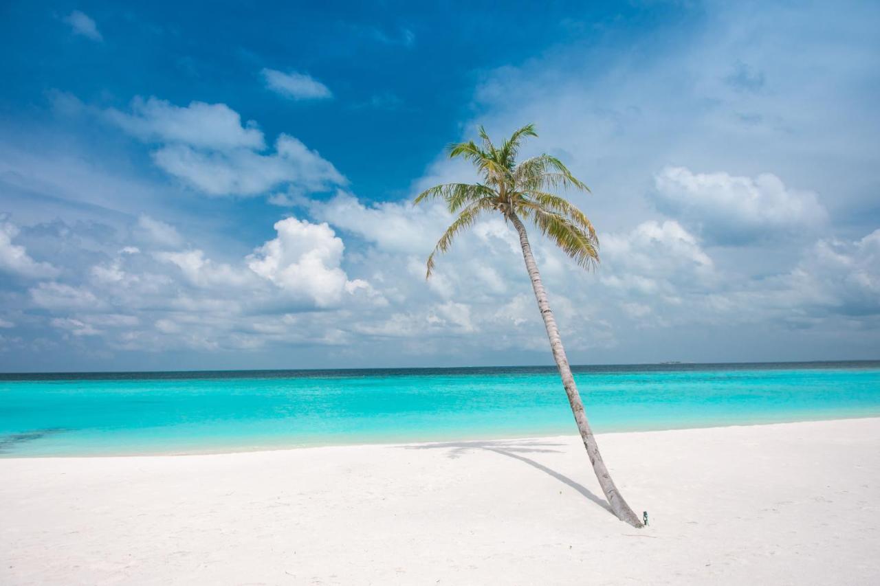 Brickwood Rasdhoo- Beach Front المظهر الخارجي الصورة